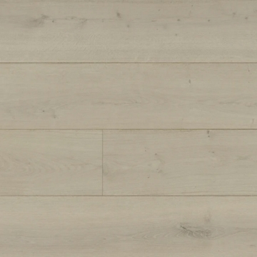 Picture of Monarch Plank - La Grande Parsenn