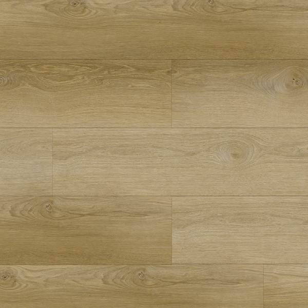 Picture of Republic - Country Gem Jackson