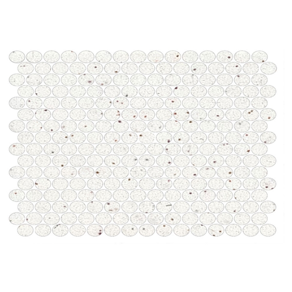 Picture of American Olean - Unglazed ColorBody Mosaic Penny Round Solids Salt & Pepper