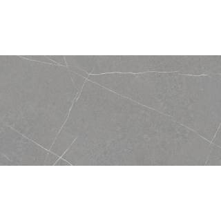 Picture of Argenta Ceramica - Capri 24 x 48 Grey