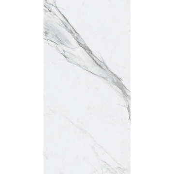 Picture of Roca - Bianco Venatino II 24 x 48 Matte (New Thickness) Bianco Venatino