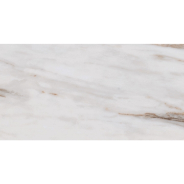 Picture of Roca - Calacatta Gold 24 x 48 (New Packaging) Calacatta Gold Matte