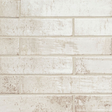 Picture of MS International - Stella Biscotti