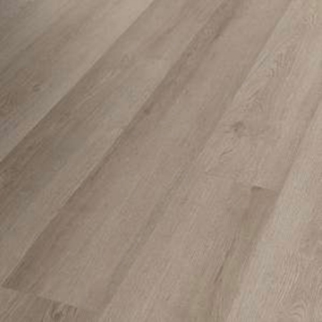 Picture of Shaw Floors - Infinite 8 Pampas