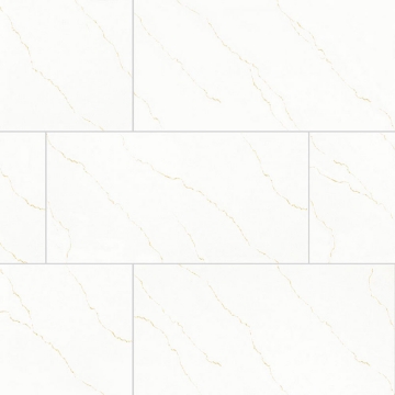 Picture of MS International - Miraggio 24 x 48 Gold Matte