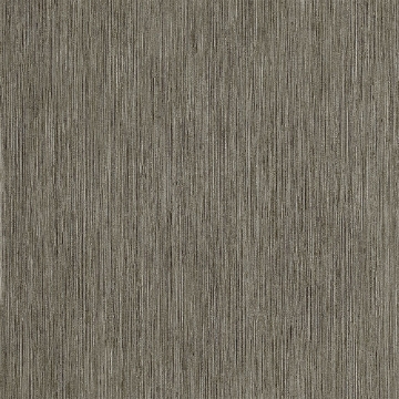 Picture of Mannington Commercial - Primary Elements - Structure 12 x 12 Titan