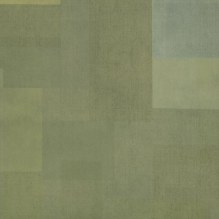 Picture of Shaw Contract - Inspire 5.0mm Lime