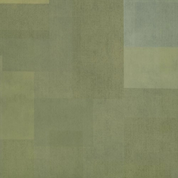 Picture of Shaw Contract - Inspire 5.0mm Lime