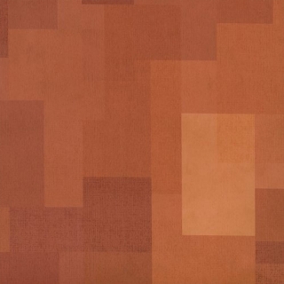 Picture of Shaw Contract - Inspire 5.0mm Orange