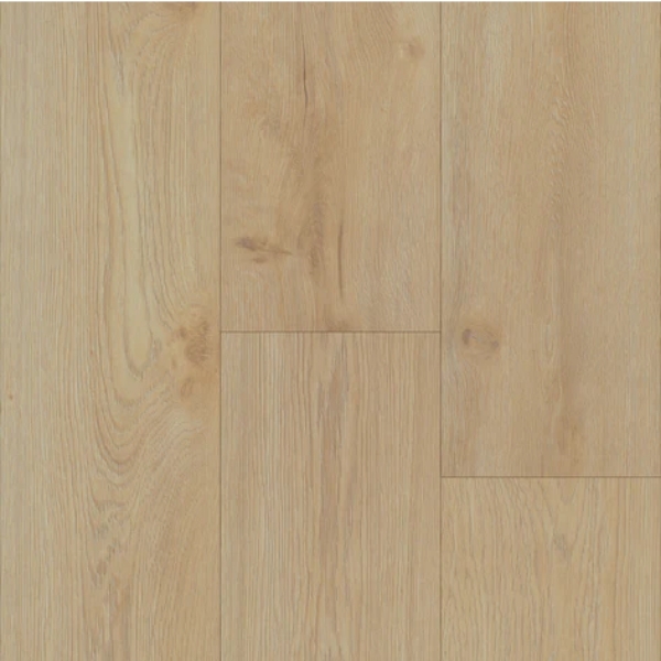 Picture of Trucor - Tymbr XL discod Valencia