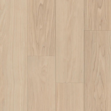 Picture of Trucor - Bravo Durand Ash