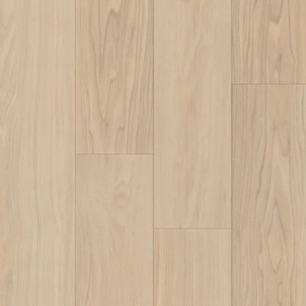 Picture of Trucor - Bravo Durand Ash