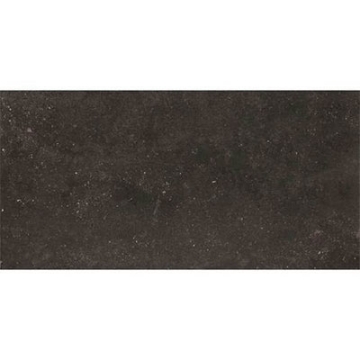 Picture of Daltile - Diplomacy Paver 20 x 40 Dark Grey