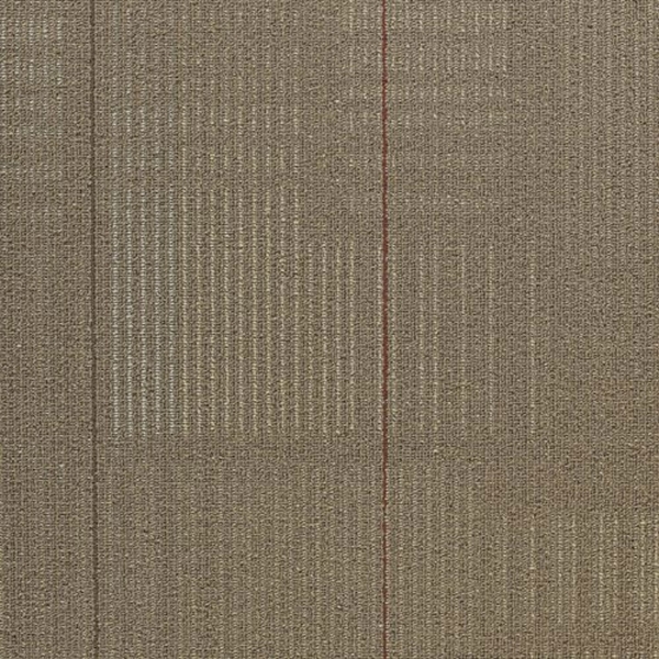 Picture of Shaw Contract - Diffuse 24 x 24 Annual