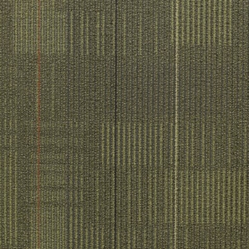 Picture of Shaw Contract - Diffuse 24 x 24 Formations