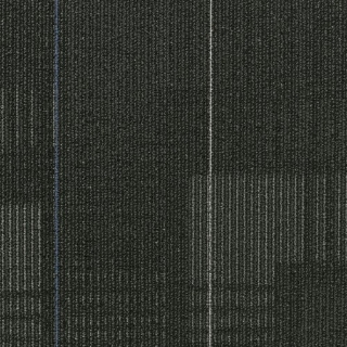 Picture of Shaw Contract - Diffuse 24 x 24 Magnetic Fields