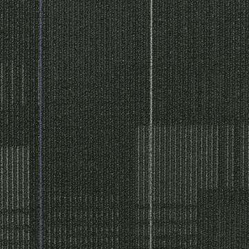 Picture of Shaw Contract - Diffuse 24 x 24 Magnetic Fields