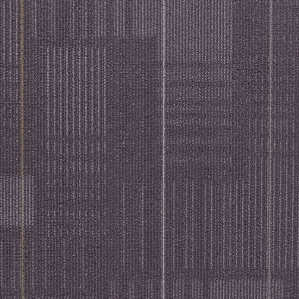 Picture of Shaw Contract - Diffuse 24 x 24 Seasonal