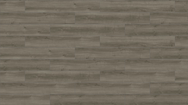 Picture of Mohawk Group - Large and Local Reforestation Racehorse