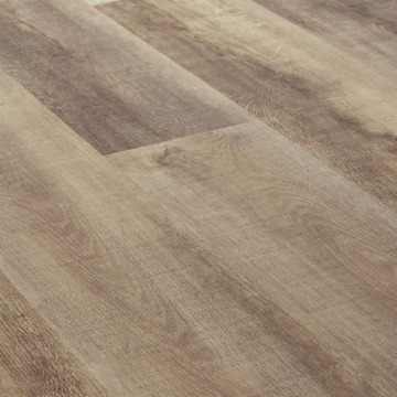 Picture of SOHO Studio Corp - Broadway Mushroom