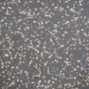 Picture of SOHO Studio Corp - Italy Terrazzo Dolce Grande