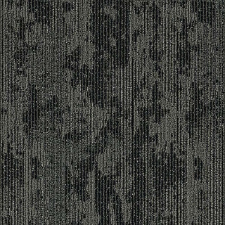 Picture of Aladdin Commercial - Rhythmic Wave Espresso Beans