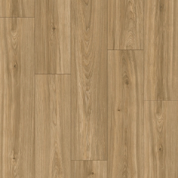 Picture of Palmetto Road - Trailblazer Honey Creek