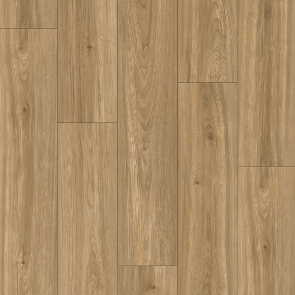 Picture of Palmetto Road - Trailblazer Honey Creek