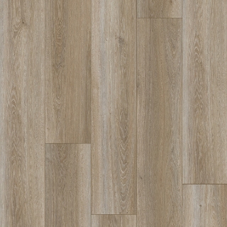 Picture of Palmetto Road - Trailblazer Mystic Falls