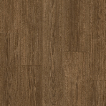 Picture of Palmetto Road - Trailblazer Tanner Trail