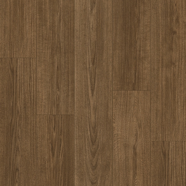 Picture of Palmetto Road - Trailblazer Tanner Trail