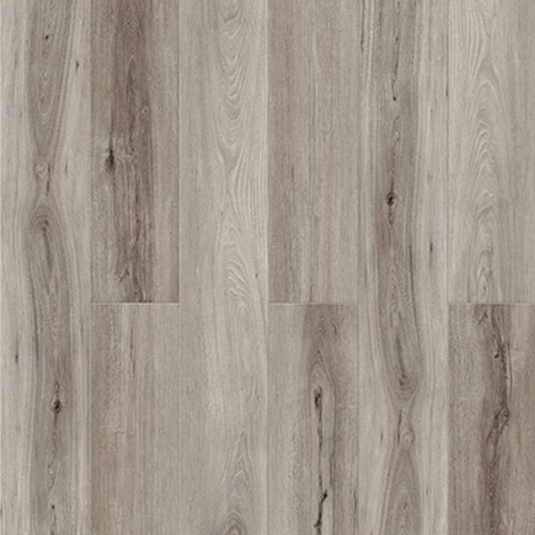 Picture of Chesapeake Flooring - Hemisphere Equator