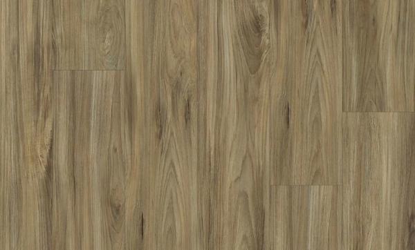 Picture of Philadelphia Commercial by Shaw - 5636V Whispering Wood