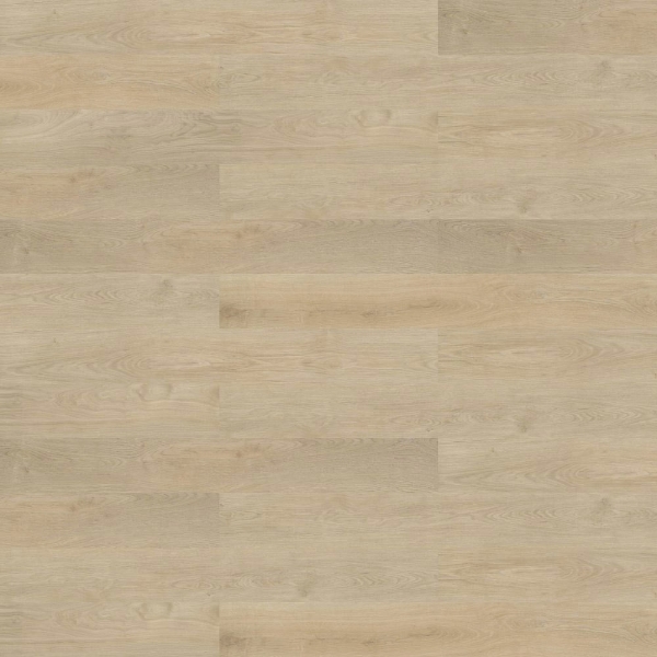 Picture of Shaw Contract - Branching Out 5mm Acoustic Plains Oak