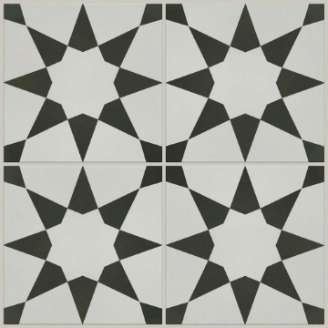 Picture of Shaw Builder - Renee Josefina Onyx