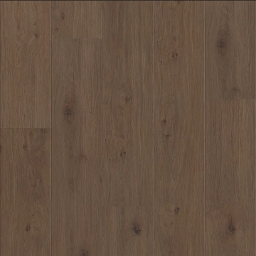 Picture of Shaw Floors - Fresh Take Tuxedo Bronze
