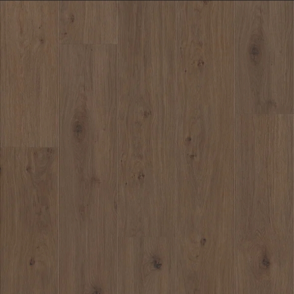 Picture of Shaw Floors - Fresh Take Tuxedo Bronze
