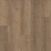 Picture of Shaw Floors - Fresh Take Cabriole Brown
