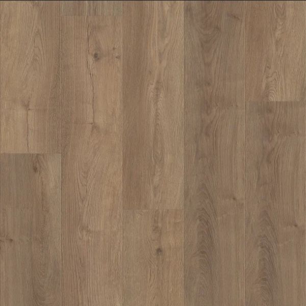 Picture of Shaw Floors - Fresh Take Cabriole Brown