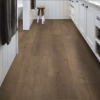 Picture of Shaw Floors - Fresh Take Cabriole Brown