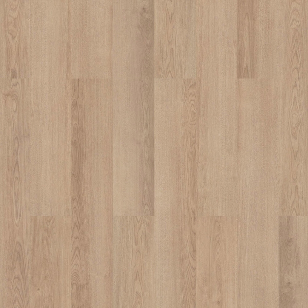 Picture of InHaus - Visions Hobart