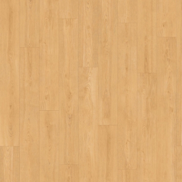 Picture of InHaus - Icon Sterling