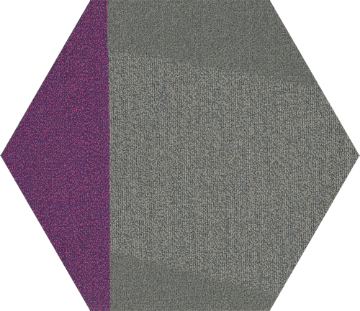 Picture of Shaw Contract - Contact Hexagon Tile Brilliant Proposal