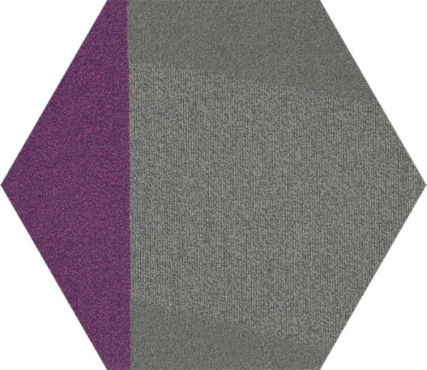 Picture of Shaw Contract - Contact Hexagon Tile Brilliant Proposal