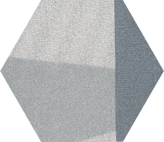 Picture of Shaw Contract - Base Hexagon Tile Scale