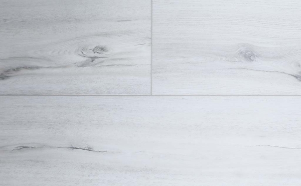 Picture of Audacity - Symphony Franklin