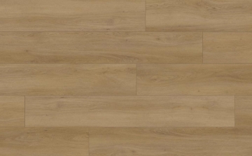 Picture of Audacity - Symphony Gibbons