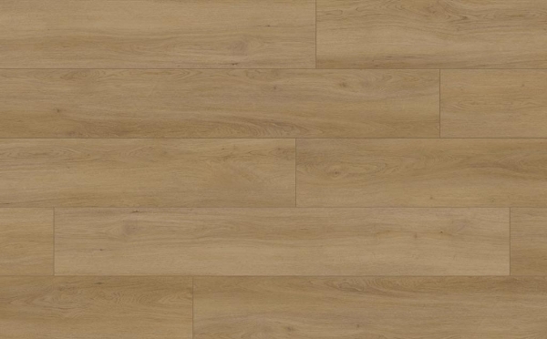 Picture of Audacity - Symphony Gibbons