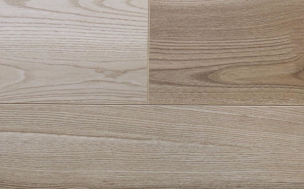 Picture of Audacity - Symphony Hendrix