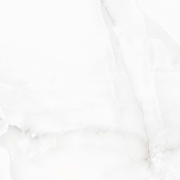 Picture of Kertiles - Taj Palace 32 x 32 Bianco